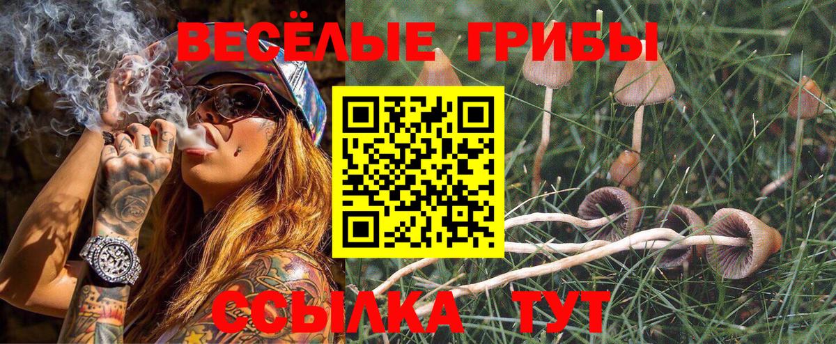 Псилоцибиновые грибы мухоморы  Псилоцибиновые грибы GOLDEN TEACHER  Вход с VPN  как найти наркотики  Прохладный 